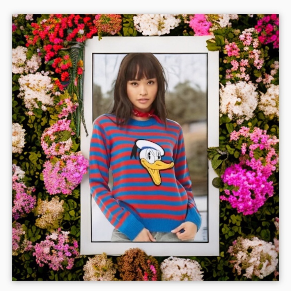 Mickey Mouse 90th Anniversary Collection F21- SzM-Stripe DonaldDuck Knit…